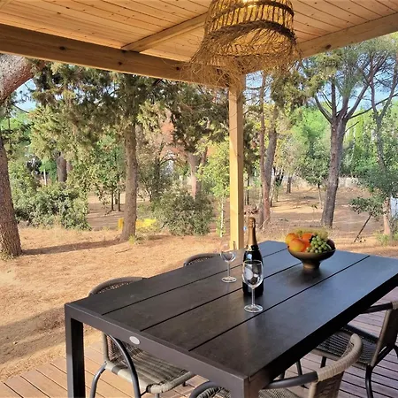 Holiday home Cozy Pet-friendly Near Riells *